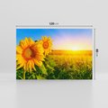 Obraz na płótnie 120x80 - Słoneczniki na malowniczej łące - słoneczniki, łąka