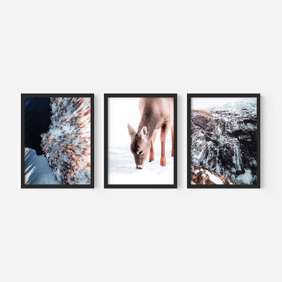 Zestaw obrazy w ramie 40x50 galeria - Sarna, zima, w, górach - rama czarna