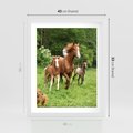 Plakat w ramie 40x50 - Galopujące konie - konie, galop - rama biała