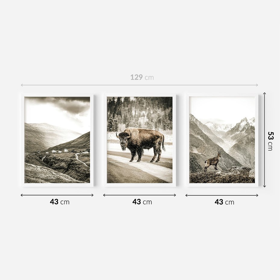 Zestaw obrazy w ramie 40x50 galeria - Góry, bizon, kozica - rama biała