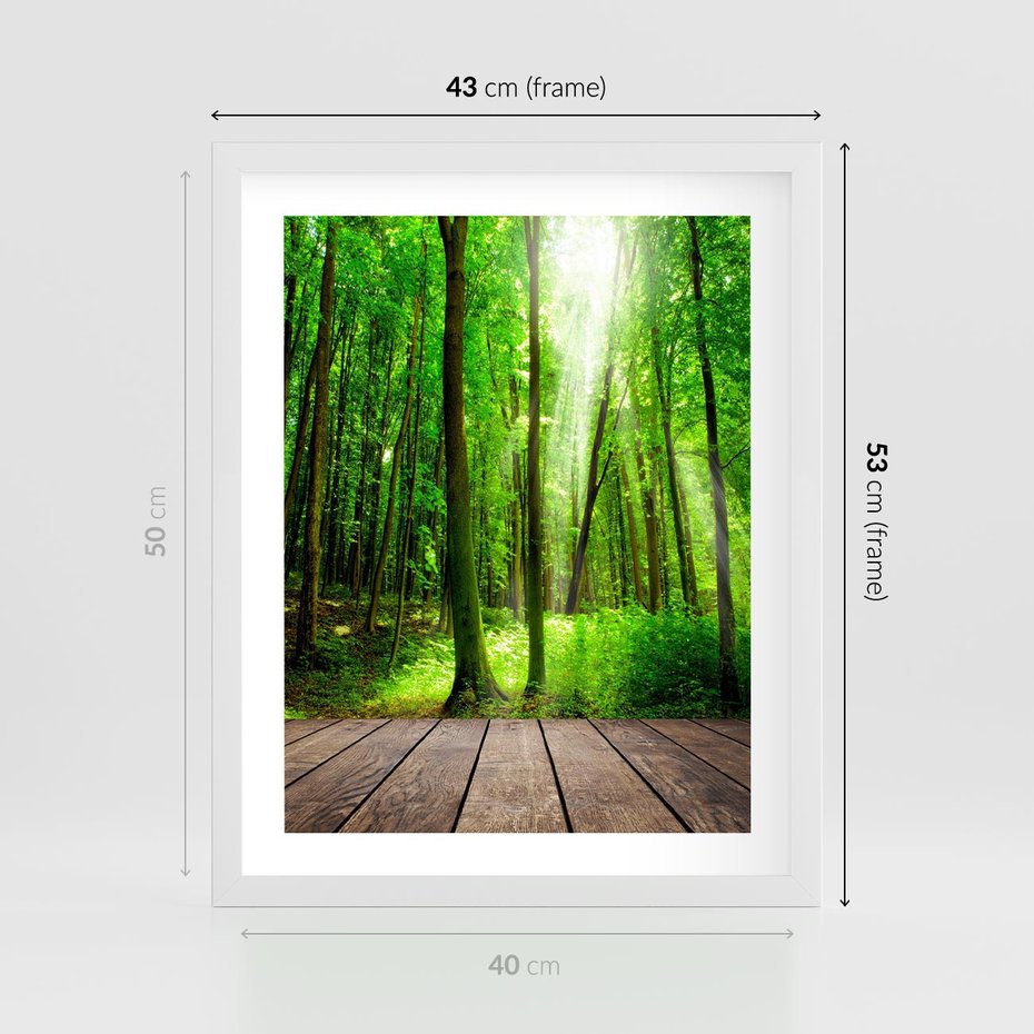 Plakat w ramie 40x50 - Spacer po urokliwej dróżce w lesie - las, dróżka - rama biała