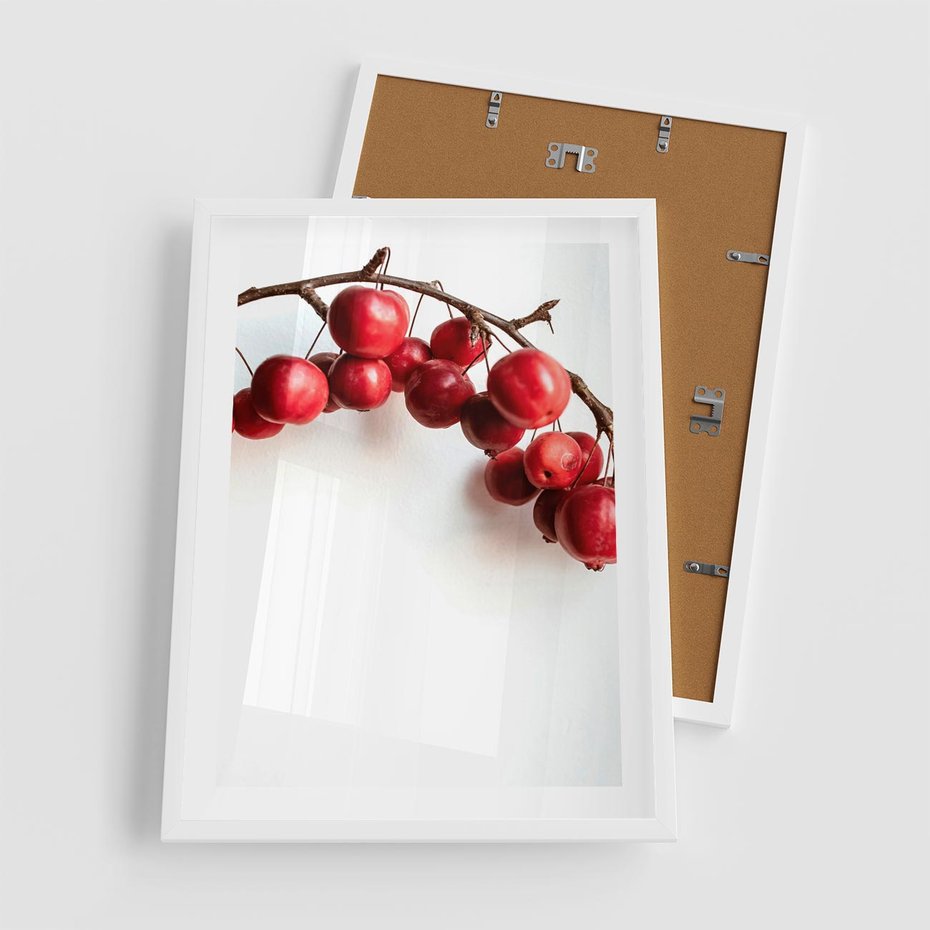 Plakat w ramie 50x70 - Jesienne Owoce - jarzębina, czerwone owoce - rama biała