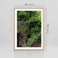 Plakat w ramie 50x70 - Żywiołowa Zieleń - mur, liście - rama drewno
