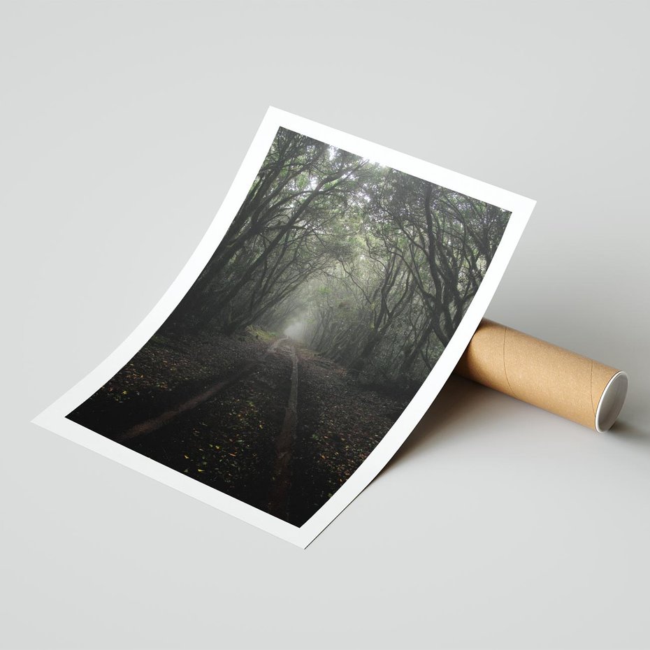 Plakat bez ramy 30x40 - Urok Drogi - las, droga