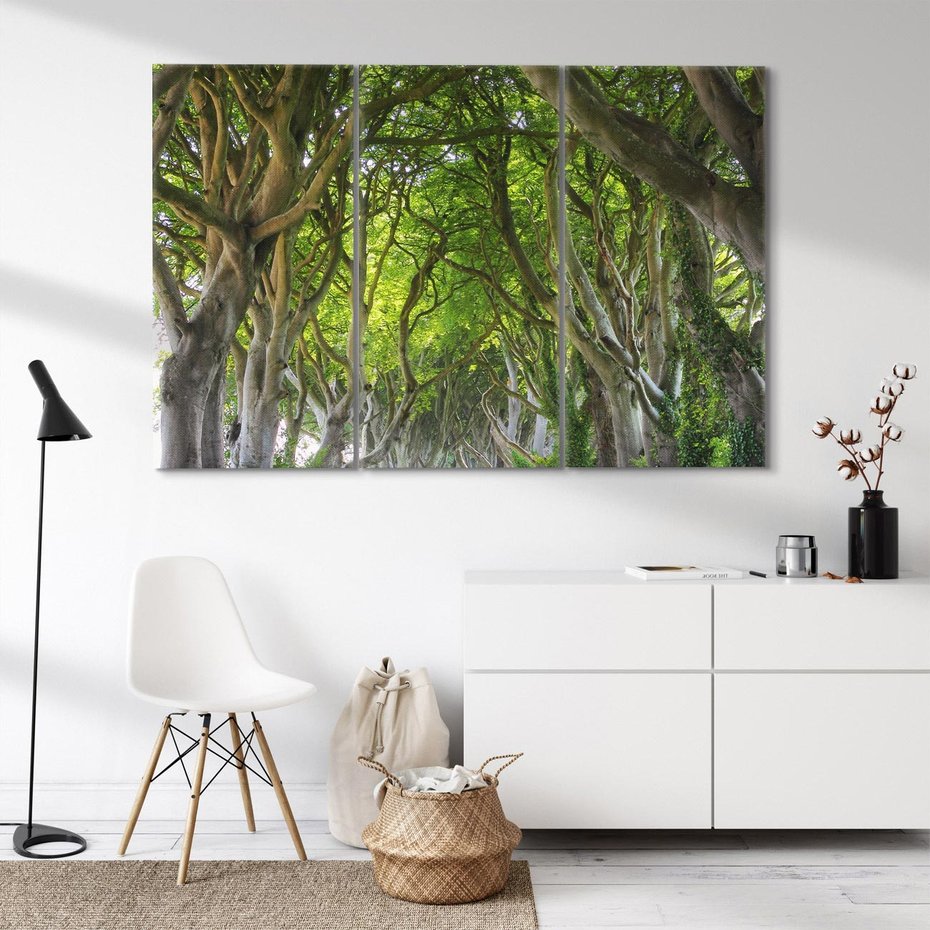 Obraz na płótnie 120x80 - Magiczny Las - drzewa, las