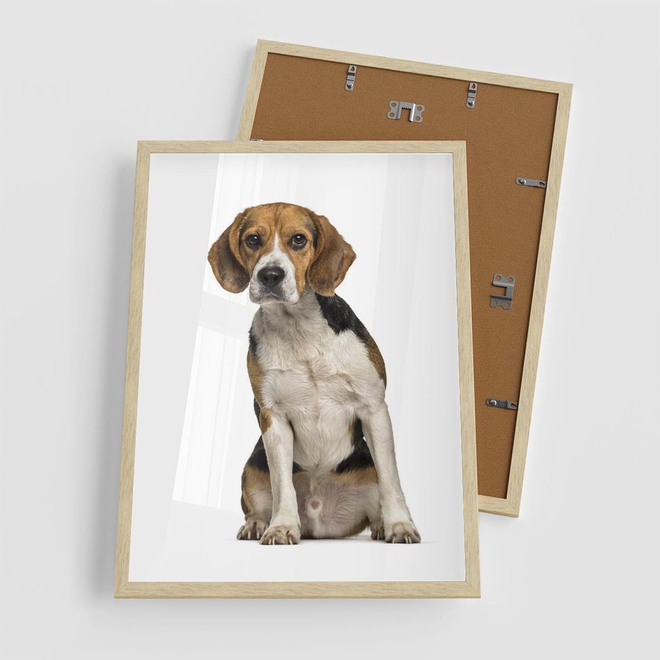 Plakat w ramie 50x70 - Wierność i radość - pies, piesek - rama drewno