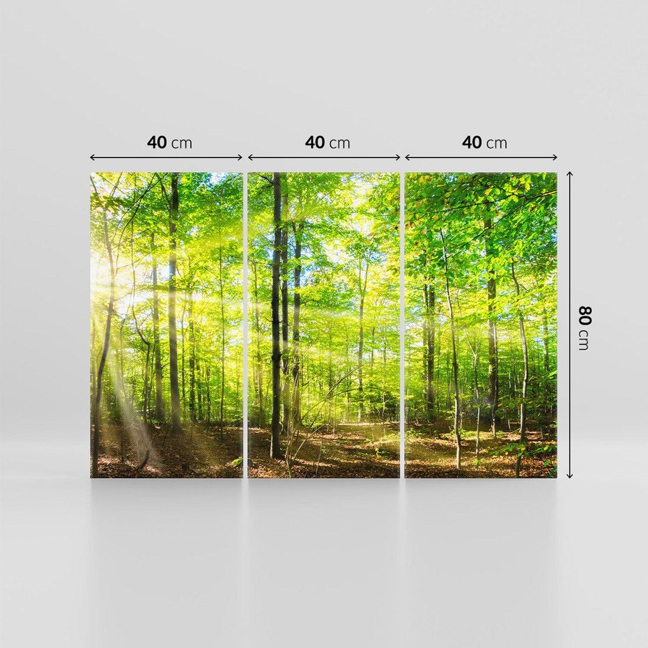 Obraz na płótnie 120x80 - Drzewa w harmonii - las, drzewa