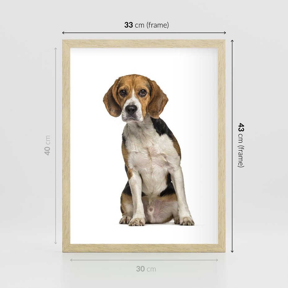 Plakat w ramie 30x40 - Wierność i radość - pies, piesek - rama drewno