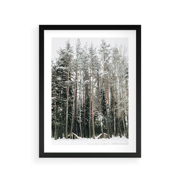 Plakat w ramie 50x70 - Sypiący Śnieg - las w zimie, drzewa pod śniegiem - rama czarna