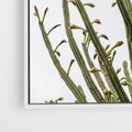 Obraz w ramie 50x50 - Ekskluzywna Roślinność - kaktusy, liście - rama biała
