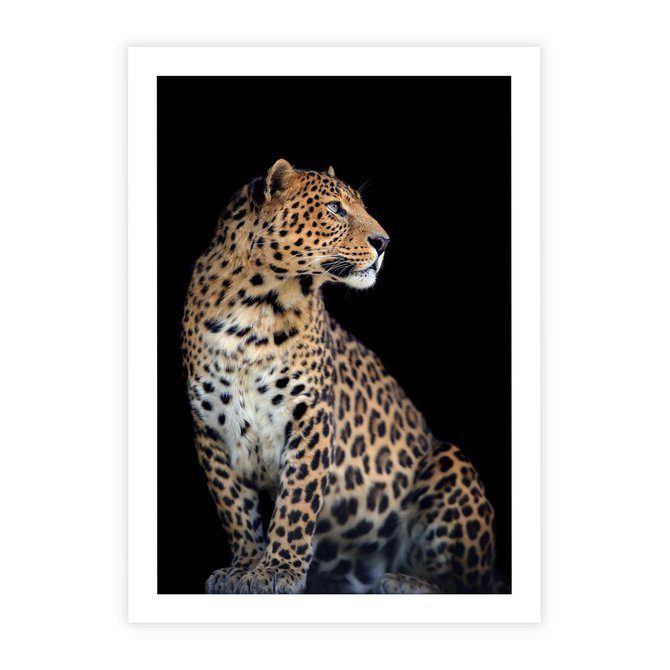 Plakat bez ramy 21x30 - Elegancja Jaguarowej Pantery - jaguar, pantera