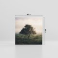 Obraz na płótnie 60x60 - Zamglona Prostota - artystyczna fotografia, samotne drzewo na zamglonej łące