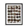 Plakat w ramie 40x50 - Jesienna Tekstura - kompozycja z suchych szyszek, jesienne szyszki - rama czarna