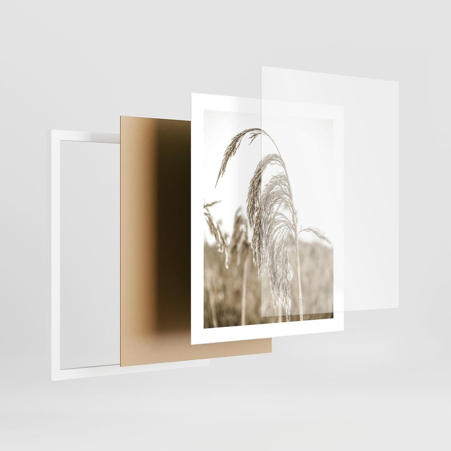 Plakat w ramie 40x50 - Ujęcie Suchych Traw - suche trawy, zbliżenie - rama biała