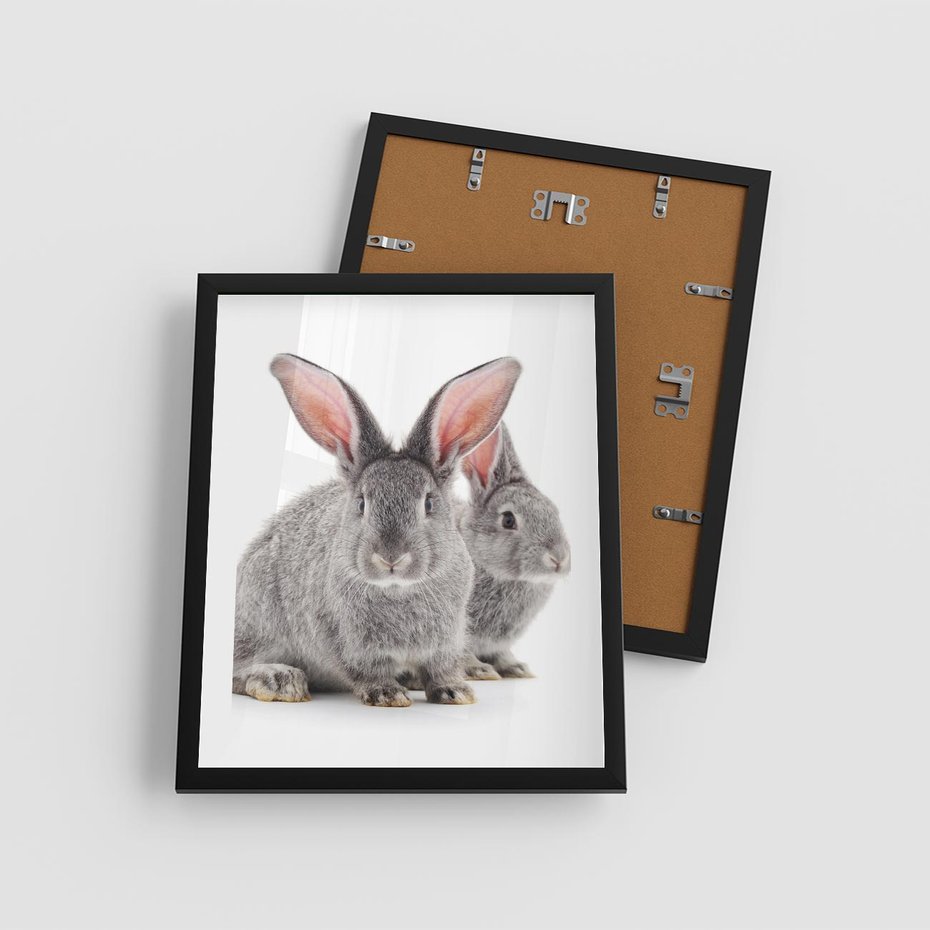 Plakat w ramie 40x50 - Uroczy królik wśród natury - królik, zając - rama czarna