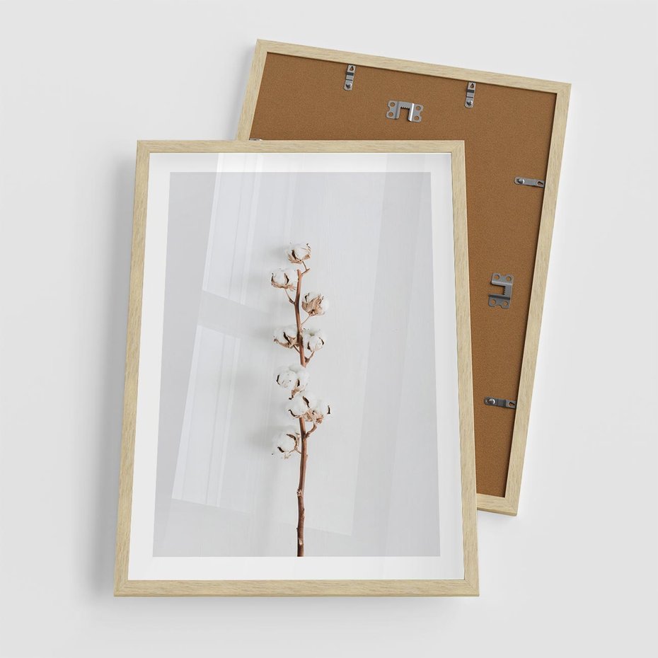 Plakat w ramie 50x70 - Minimalistyczna Gałązka Bawełny - bawełna, gałązka bawełny - rama drewno