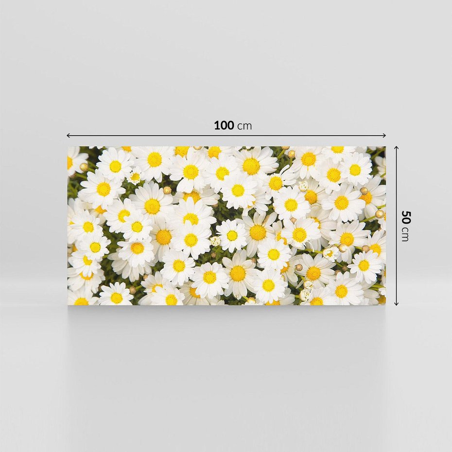 Obraz na płótnie 100x50 - Delikatność Kwiatowej Przyrody - stokrotki, kwiaty