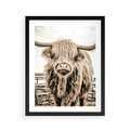 Plakat w ramie 40x50 - Klimat Wiejskiego Życia - amerykańska krowa, byk - rama czarna
