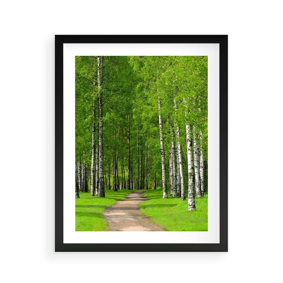 Plakat w ramie 40x50 - Spacer Ścieżką w Urokliwym Lesie - las, ścieżka - rama czarna