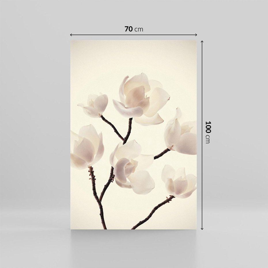 Obraz na płótnie 70x100 - Elegancja Natury - magnolia, białe