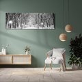Obraz na płótnie 90x30 - cisza wśród drzew - zima, park