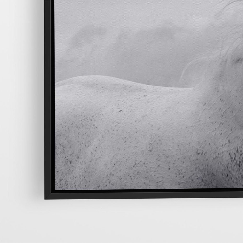 Obraz w ramie 100x70 - Moc i Wolność - czarno biała fotografia, biały - rama czarna