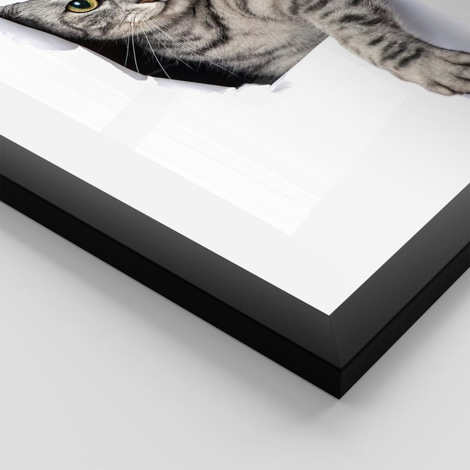 Plakat w ramie 40x50 - Tajemniczy kot i jego świat - kot, dziura - rama czarna