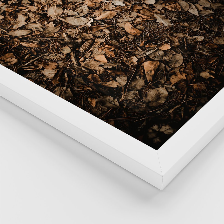 Zestaw obrazy w ramie 40x50 galeria - Suche, jesienne, liście, las - rama biała