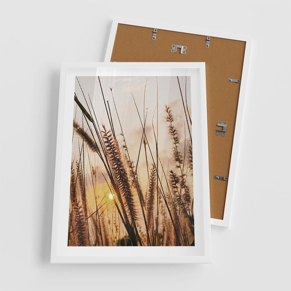 Plakat w ramie 50x70 - Malownicza Łąka z Trawam - trawy, łąka - rama biała