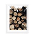 Plakat w ramie 50x70 - Siła Drewna - ścięte drewno, belki drewna ułożone jedna na drugiej - rama biała