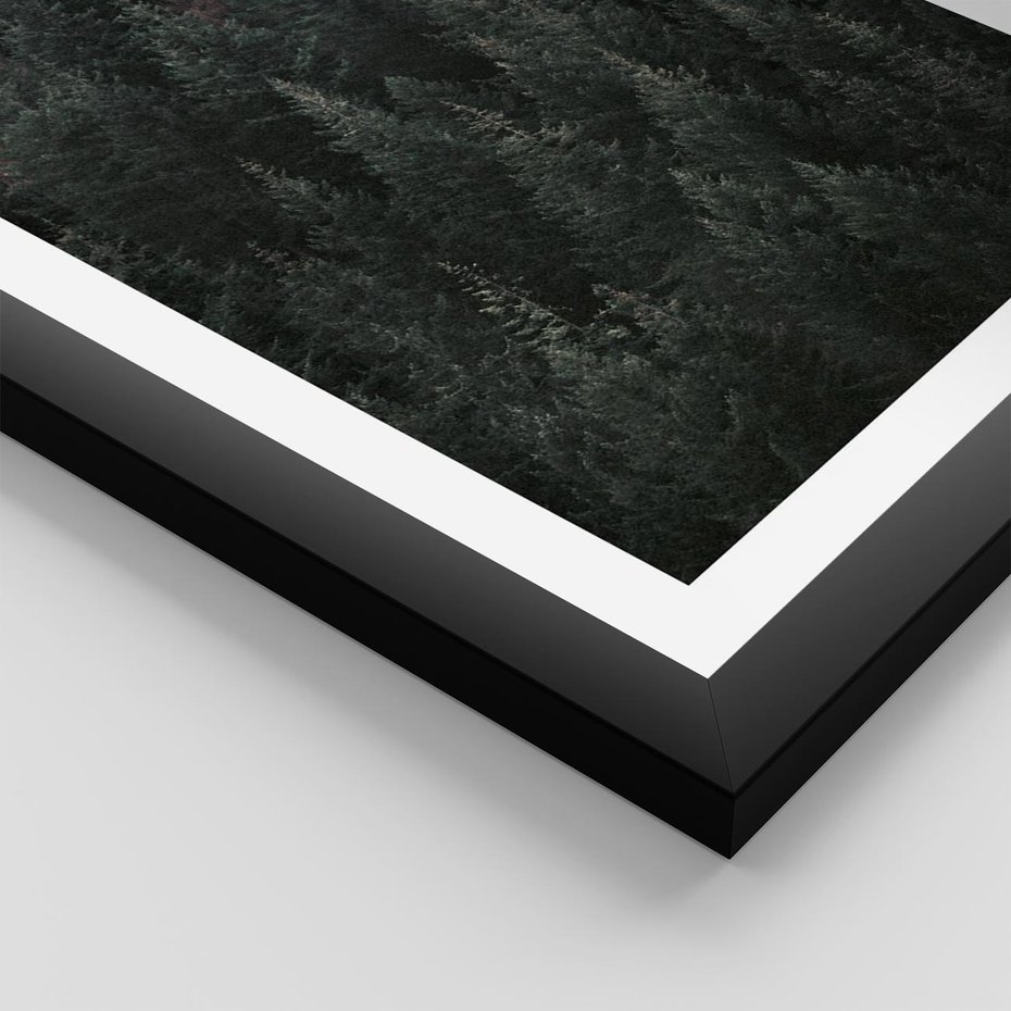 Plakat w ramie 30x40 - Wysoko nad Iglastym Lasem - las, perspektywa - rama czarna