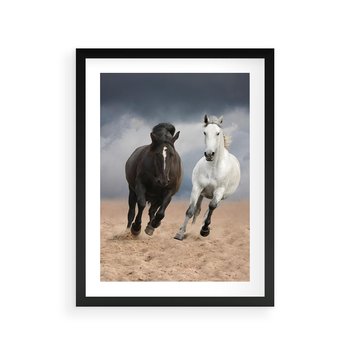 Plakat w ramie 50x70 - Siła koni w galopie - konie, galop - rama czarna