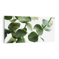Obraz na płótnie 140x70 - Zielone eukaliptusy - eukaliptus, liście