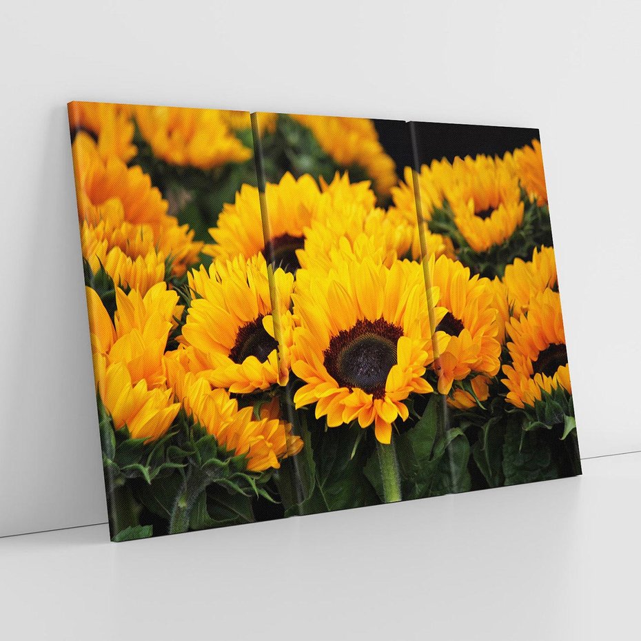 Obraz na płótnie 120x80 - promień słoneczny w kwiatowym świecie - słoneczniki, kwiat