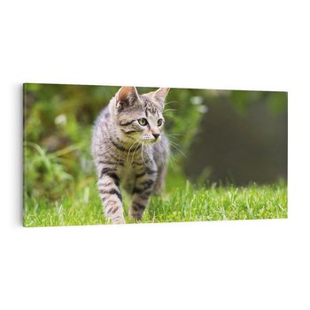 Obraz na płótnie 120x60 - Kocie polowanie w ogrodzie - kot, polowanie