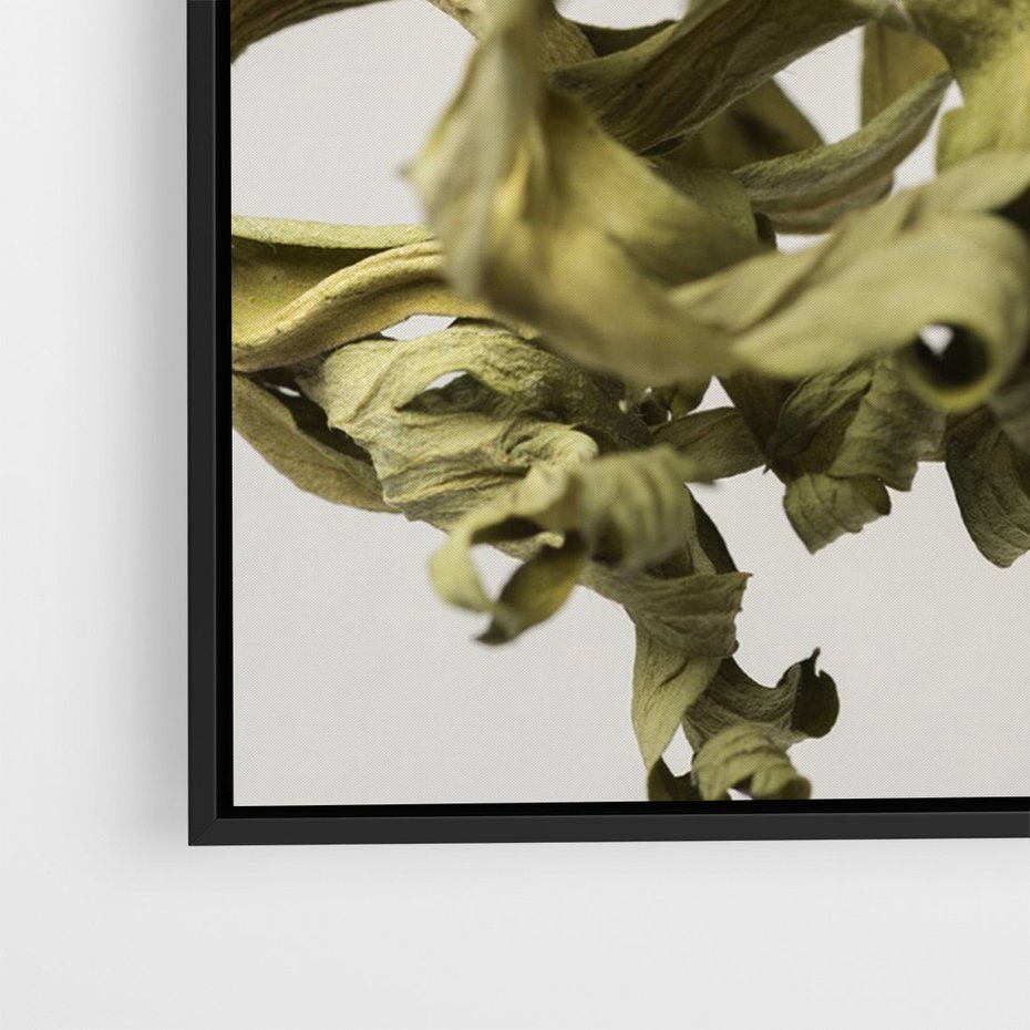 Obraz w ramie 50x70 - Odejście pory deszczowej - suche, trawy - rama czarna