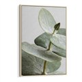 Obraz w ramie 70x100 - Eukaliptusowa zieleń - eukaliptus, zielone - rama drewno