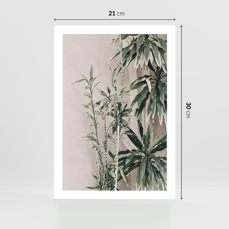 Plakat bez ramy 21x30 - Egzotyczna Kompozycja - liście, rośliny tropikalne na tle ściany