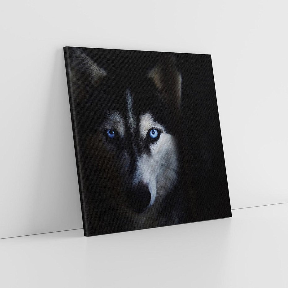 Obraz na płótnie 30x30 - Wilk i husky: siła przyjaźni - wilk, husky