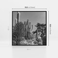 Obraz w ramie 50x50 - Pustynny Klimat - czarno białe zdjecie, pustynia - rama czarna