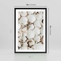 Plakat w ramie 50x70 - Białe Muszle - białe muszle, ujęcie z góry - rama czarna