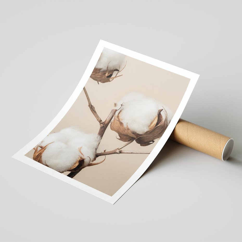 Plakat bez ramy 21x30 - Bawełniana melancholia - bawełna, suche