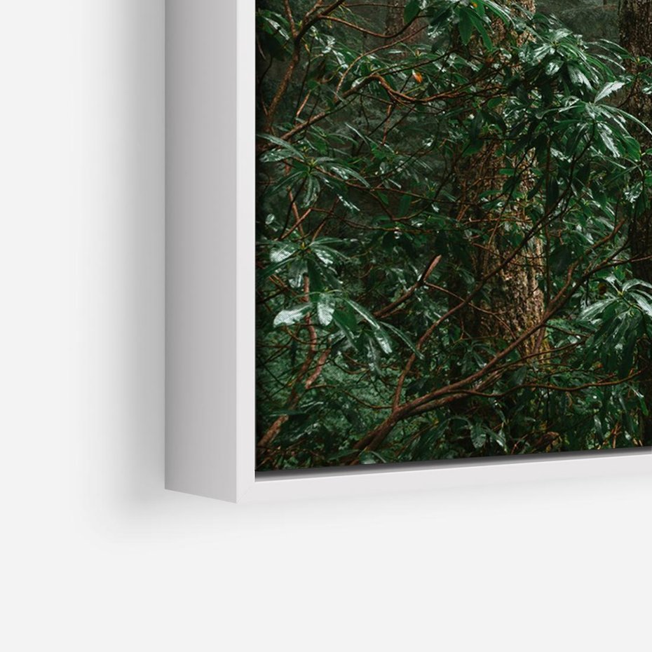 Obraz w ramie 70x50 - Mgliste Marzenia - artystyczna fotografia, las - rama biała