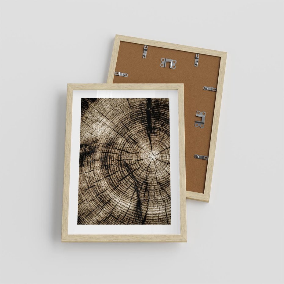 Plakat w ramie 30x40 - Natura Pod Lupą - pień drzewa, przekrój - rama drewno