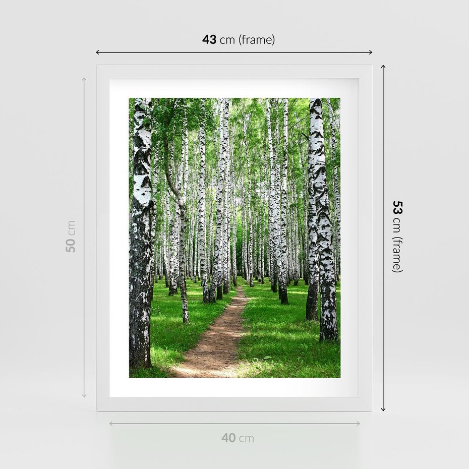 Plakat w ramie 40x50 - Bajkowy las pełen brzóz - las, brzozy - rama biała