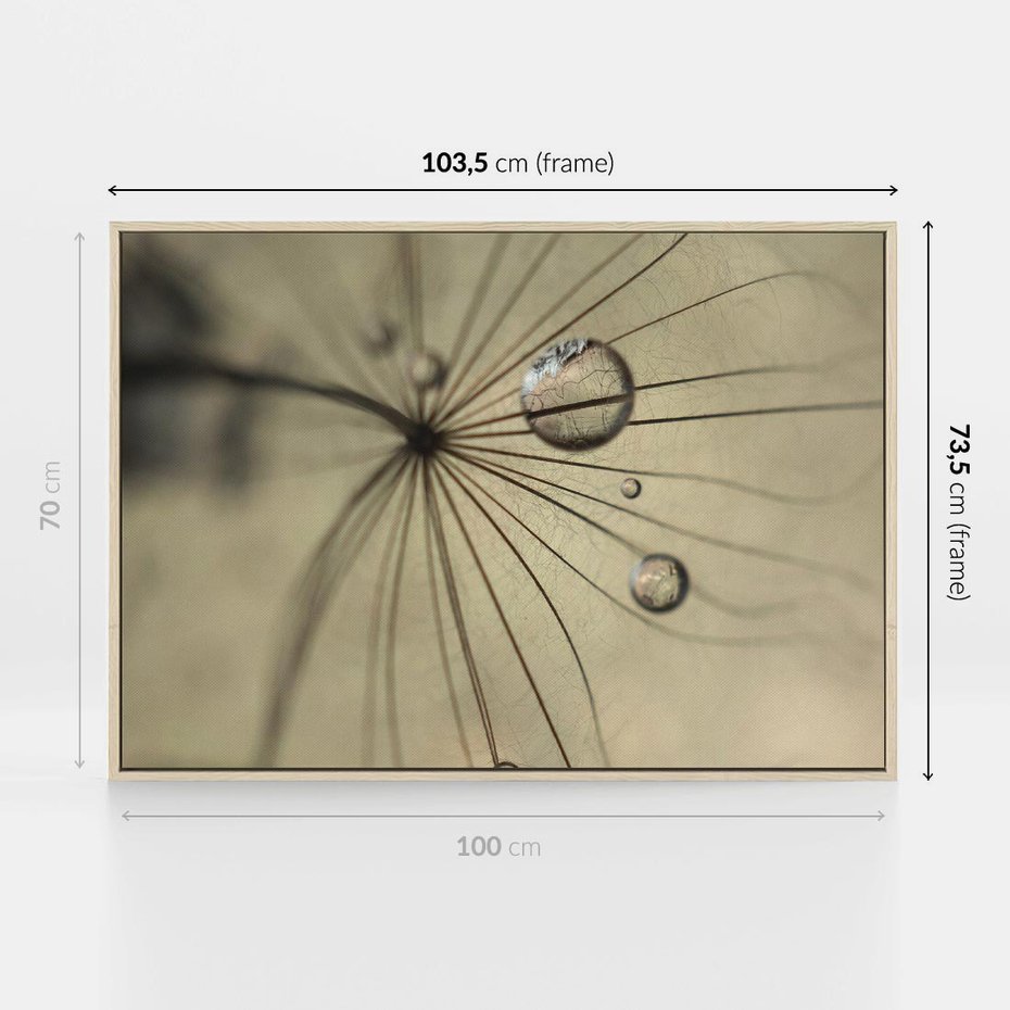 Obraz w ramie 100x70 - Delikatność dmuchawców - dmuchawce, krople - rama drewno