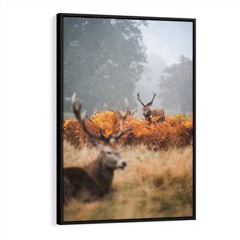 Obraz w ramie 50x70 - Malownicza Harmonia - jelenie, jesień - rama czarna