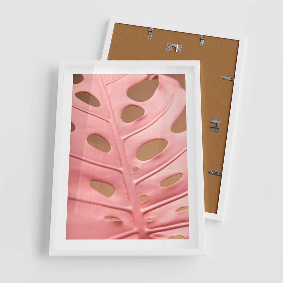 Plakat w ramie 50x70 - Różowa monstera w pełnym rozkwicie - różowa, monstera - rama biała