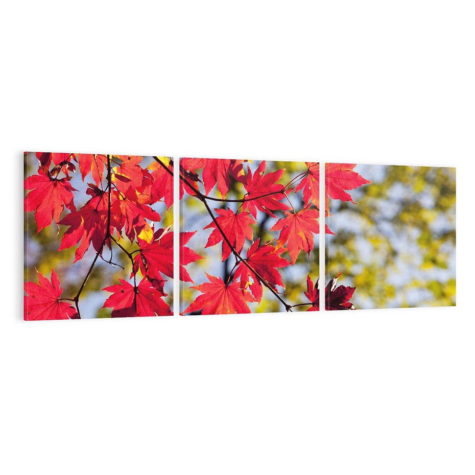 Obraz na płótnie 120x40 - Jesienny Urok Drzewa i Opadających Liści - drzewo, liście