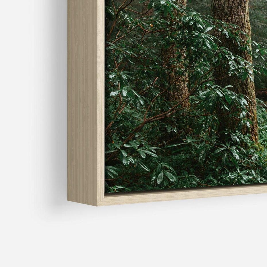 Obraz w ramie 50x50 - Mgliste Marzenia - artystyczna fotografia, las - rama drewno